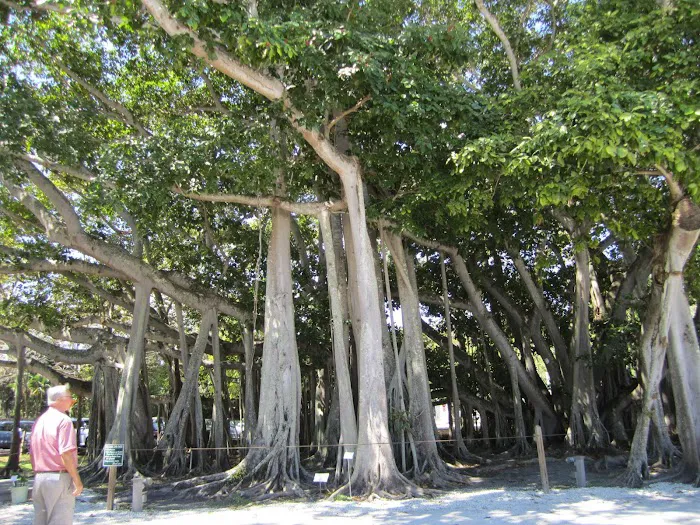 Big Butternut Campground Picture 3