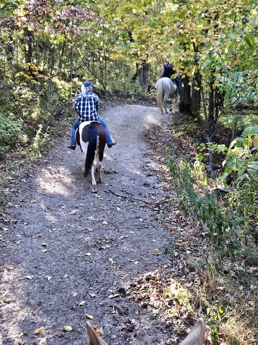 Brushy Creek South Equine Campground Picture 9