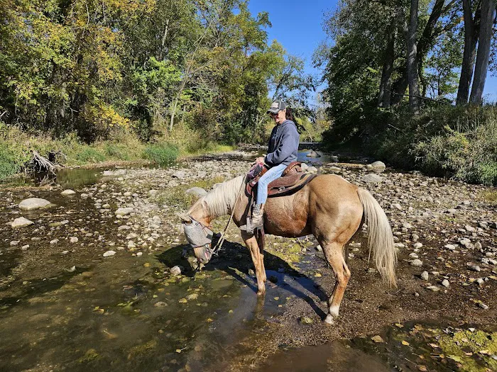 Brushy Creek South Equine Campground Picture 8