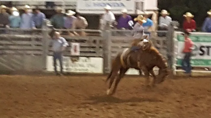 Dallas County Fair Campgrounds Picture 1