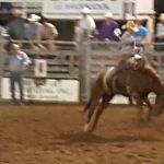 Dallas County Fair Campgrounds