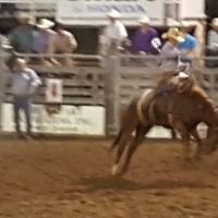Dallas County Fair Campgrounds ico