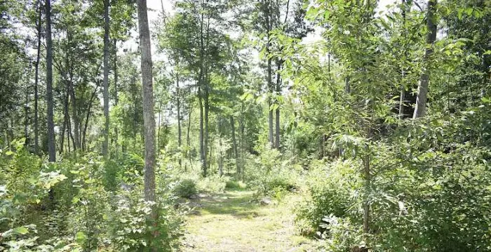 Private RV/Camp Site Picture 1