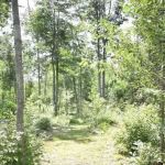 Private RV/Camp Site