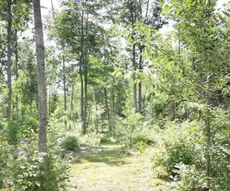 Private RV/Camp Site