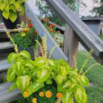 God's Little Acre Campground