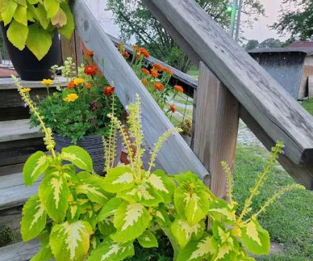 God's Little Acre Campground