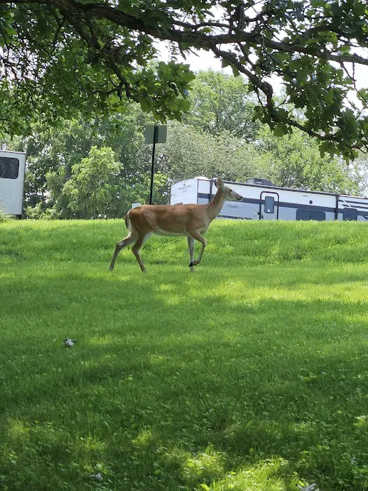 Shady Brook Camping & RV Adventures, LLC Picture 2