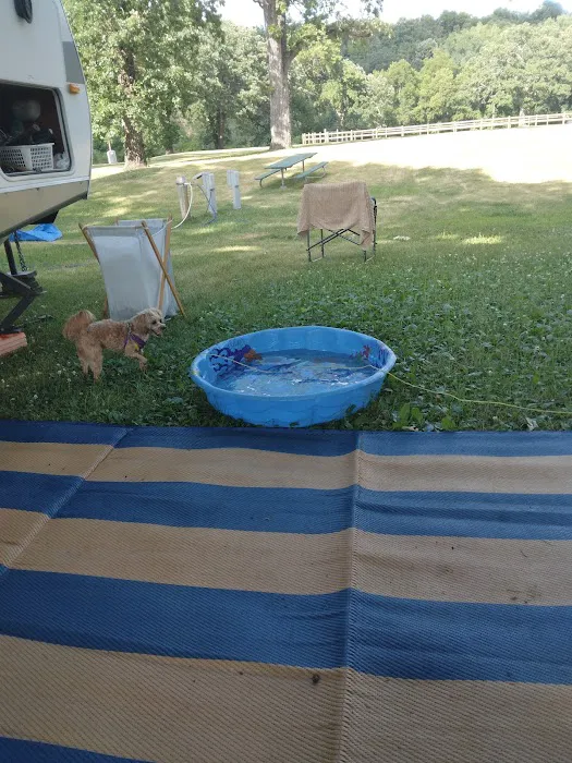 Shady Oaks Campground Picture 5