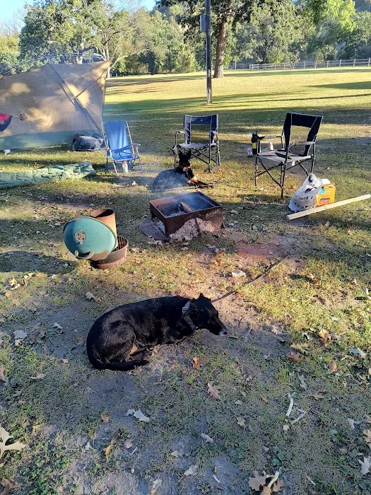 Shady Oaks Campground Picture 3