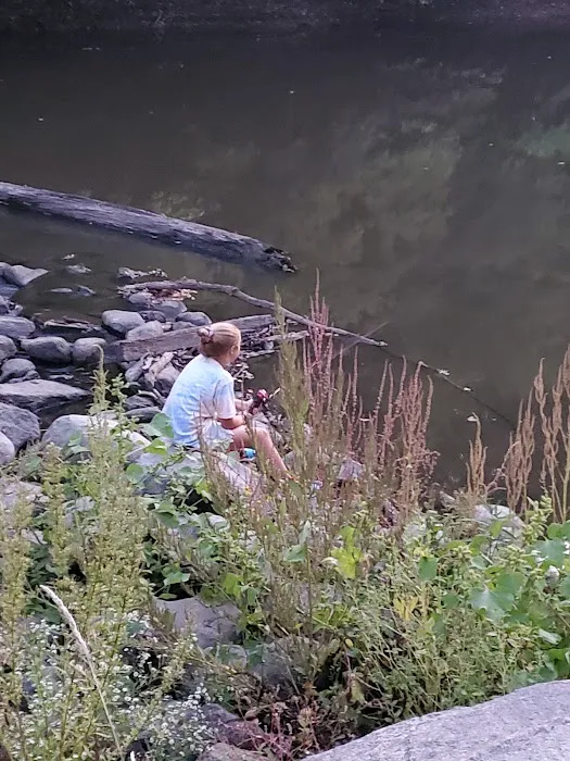 Madelia Campground at Watona Park Picture 1