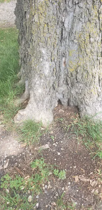 Finstad's Oak Haven Campground Picture 5