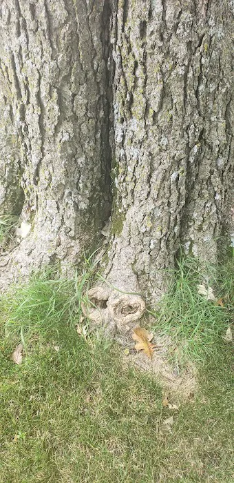 Finstad's Oak Haven Campground Picture 6