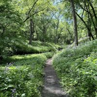 Semi-Modern Campground ico