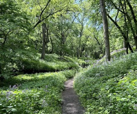 Semi-Modern Campground