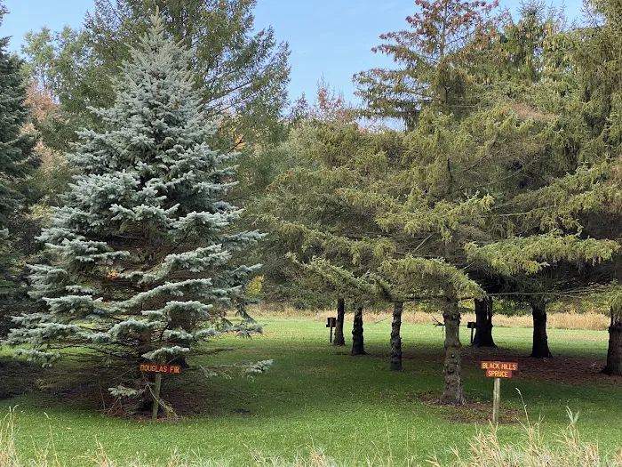 Wolden Recreation Area Picture 9