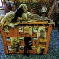 Webster County Conservation ico