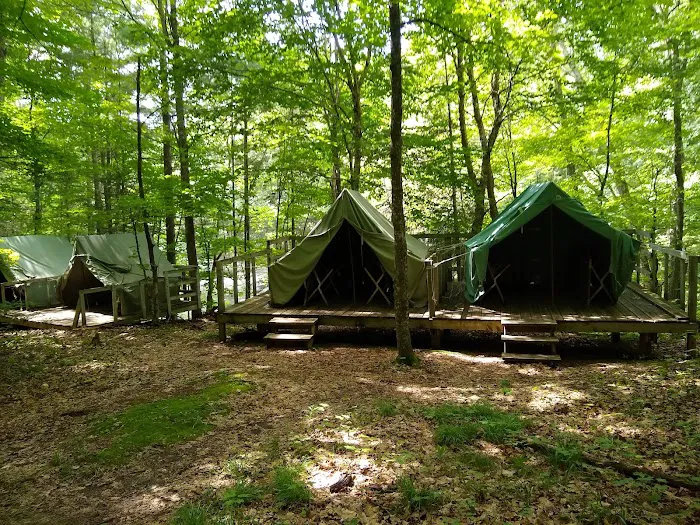 Cedar Campsite Picture 3