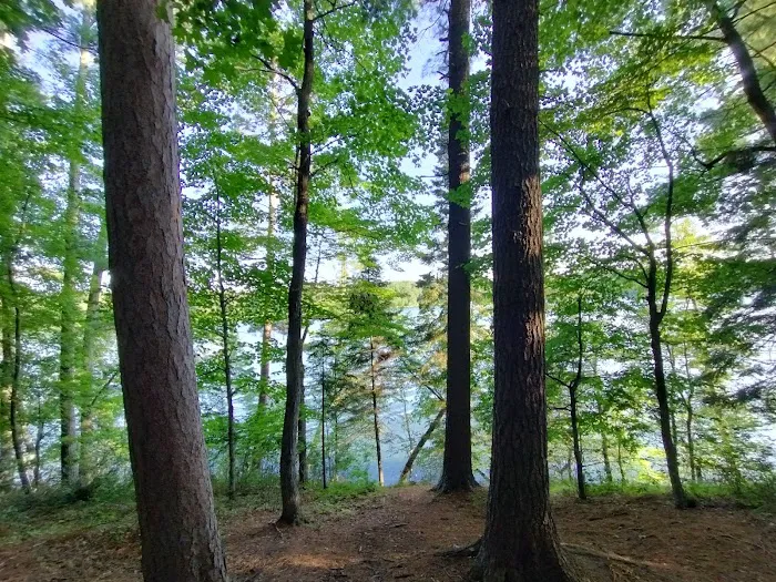 Tamarack Campsite Picture 1