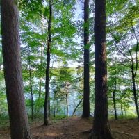 Tamarack Campsite ico