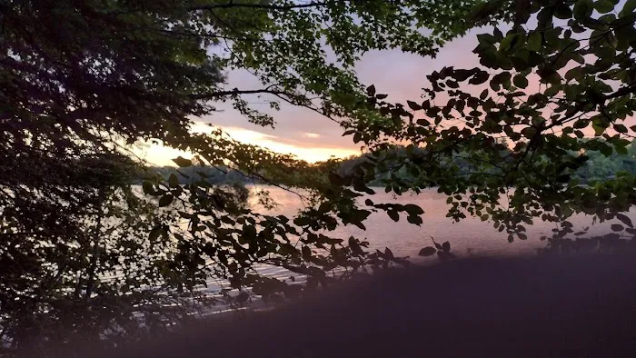 Tamarack Campsite Picture 8