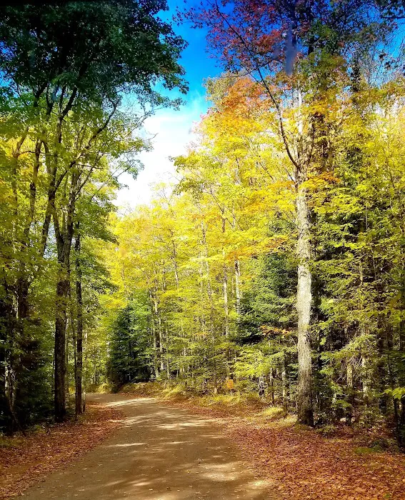 Presque Isle Campground Picture 6