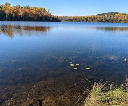 Moosehead Lake Campground