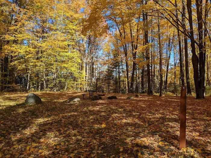 Moosehead Lake Campground Picture 8