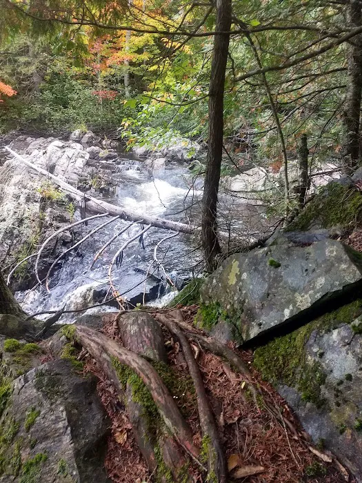 Upson Falls campground Picture 7