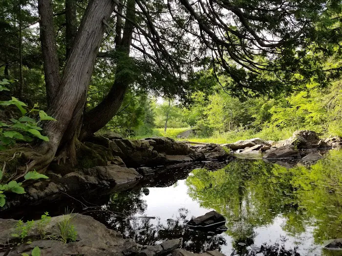 Upson Falls campground Picture 10
