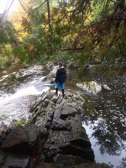 Upson Falls campground Picture 6