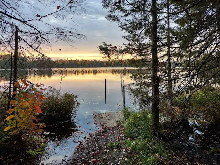 Henry Lake Campground Picture 3