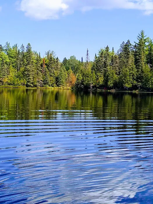Henry Lake Campground Picture 2