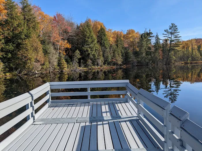 Henry Lake Campground Picture 4