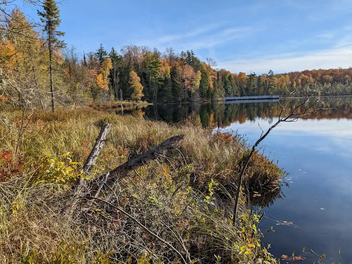 Henry Lake Campground Picture 9