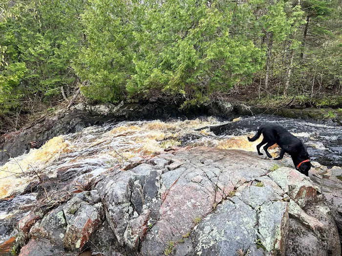 Bad River Wilderness Campsites Picture 8