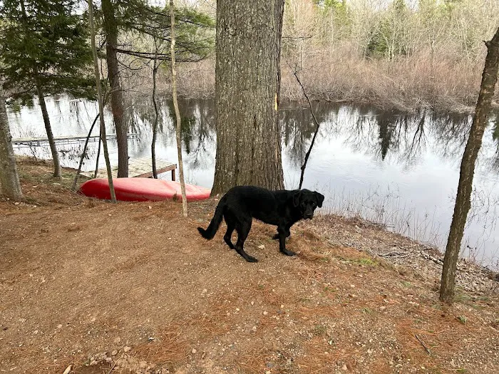 Bad River Wilderness Campsites Picture 2