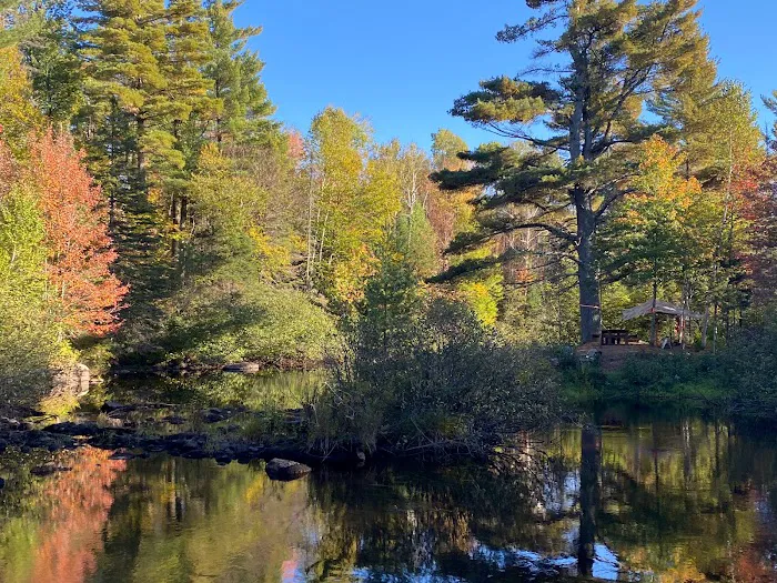 Bad River Wilderness Campsites Picture 5