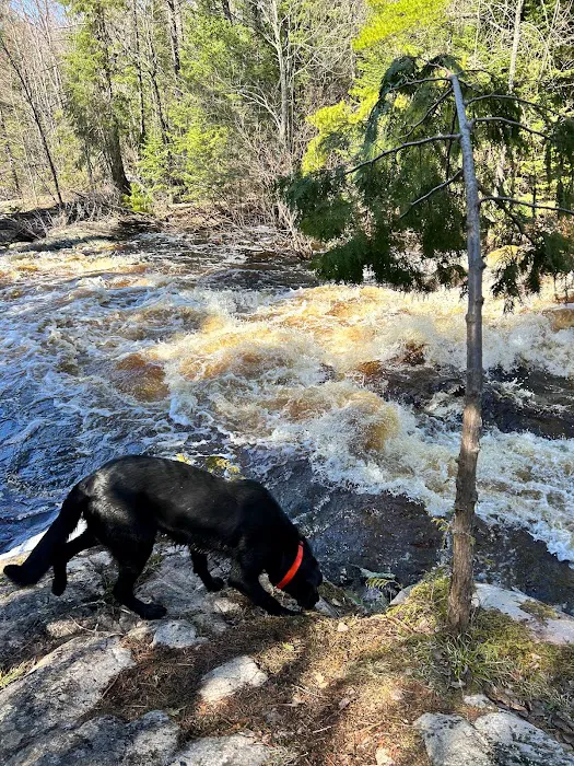 Bad River Wilderness Campsites Picture 9