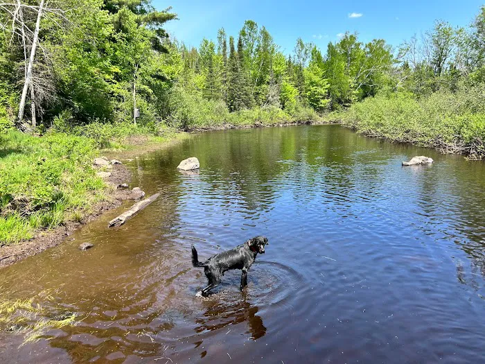 Bad River Wilderness Campsites Picture 3