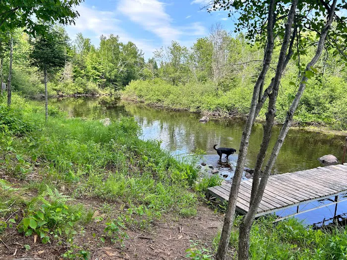 Bad River Wilderness Campsites Picture 10