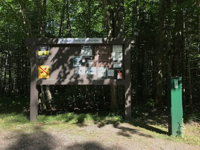 Beaver Lake Campground Picture 8