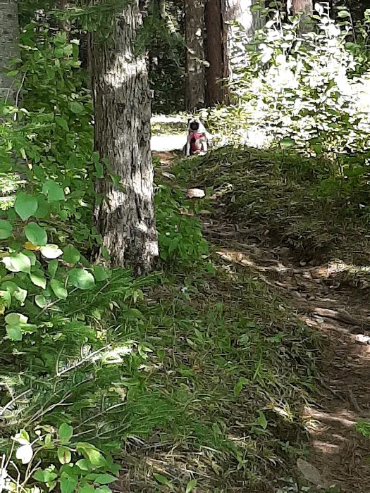 Beaver Lake Campground Picture 5