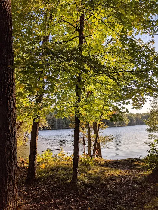 Two Lakes Campground Picture 7
