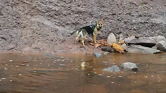 Potato River Falls Campground Picture 2