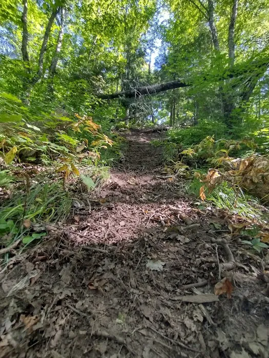 Potato River Falls Campground Picture 7