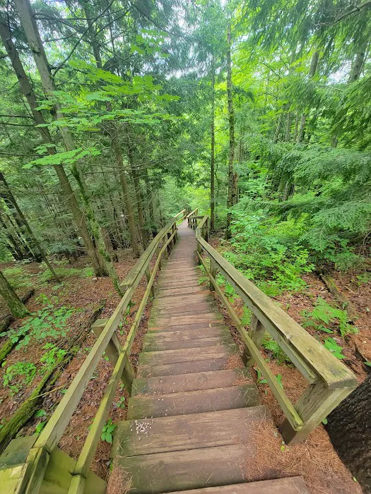 Potato River Falls Campground Picture 4