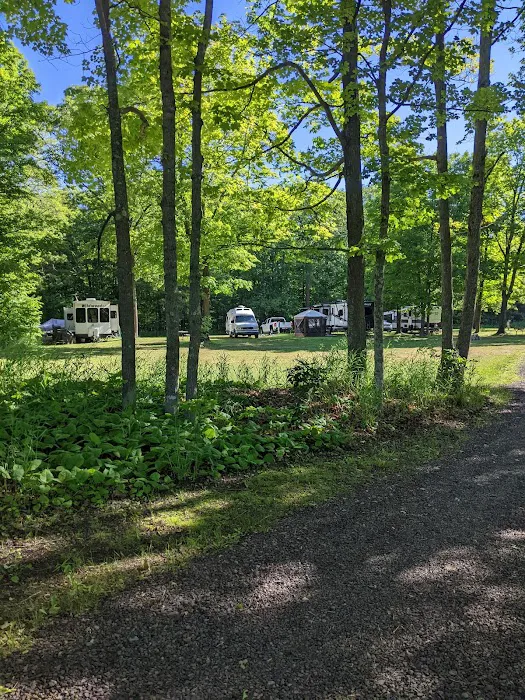 Frontier Bar & Campground Picture 4