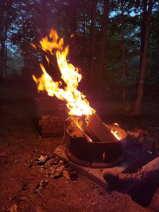 Frontier Bar & Campground Picture 1