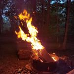 Frontier Bar & Campground